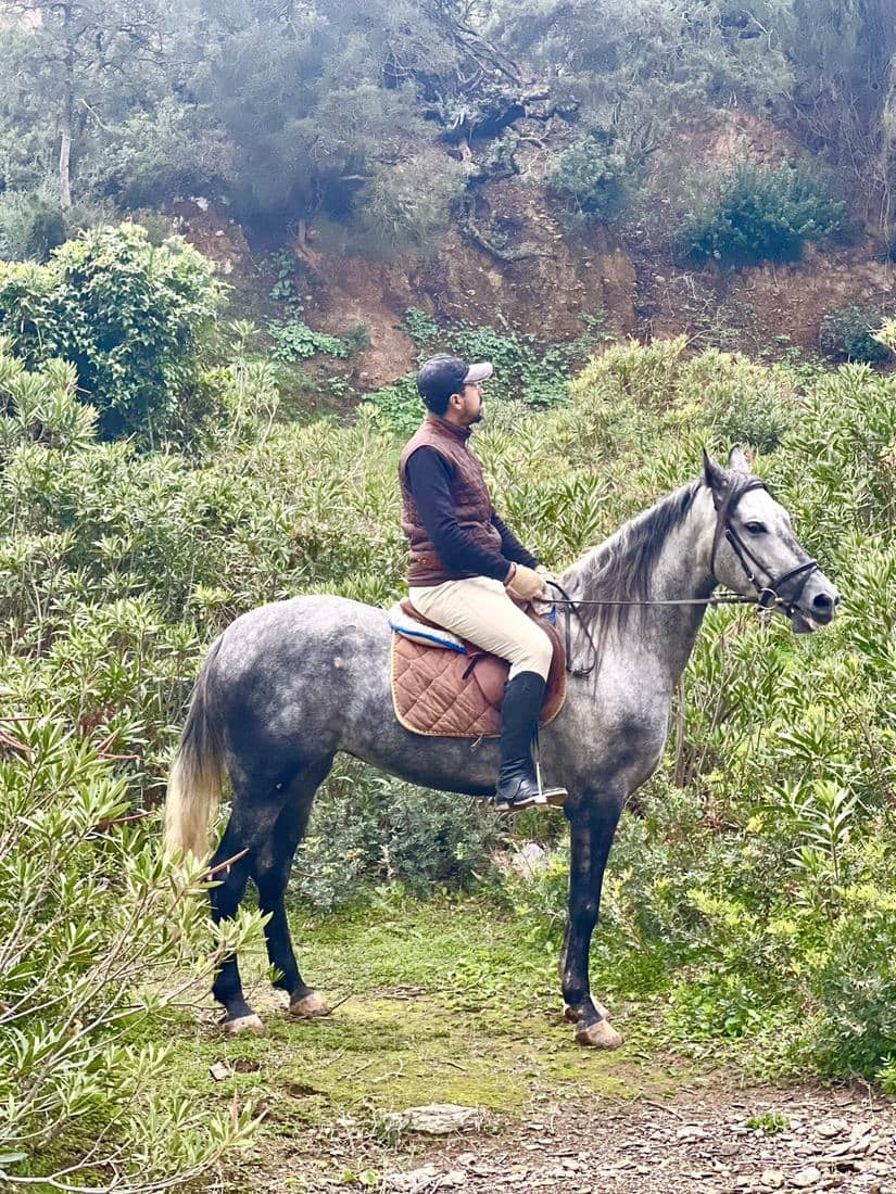 Chevaux et cavaliers dans les oliveraies et les vergers en fleur