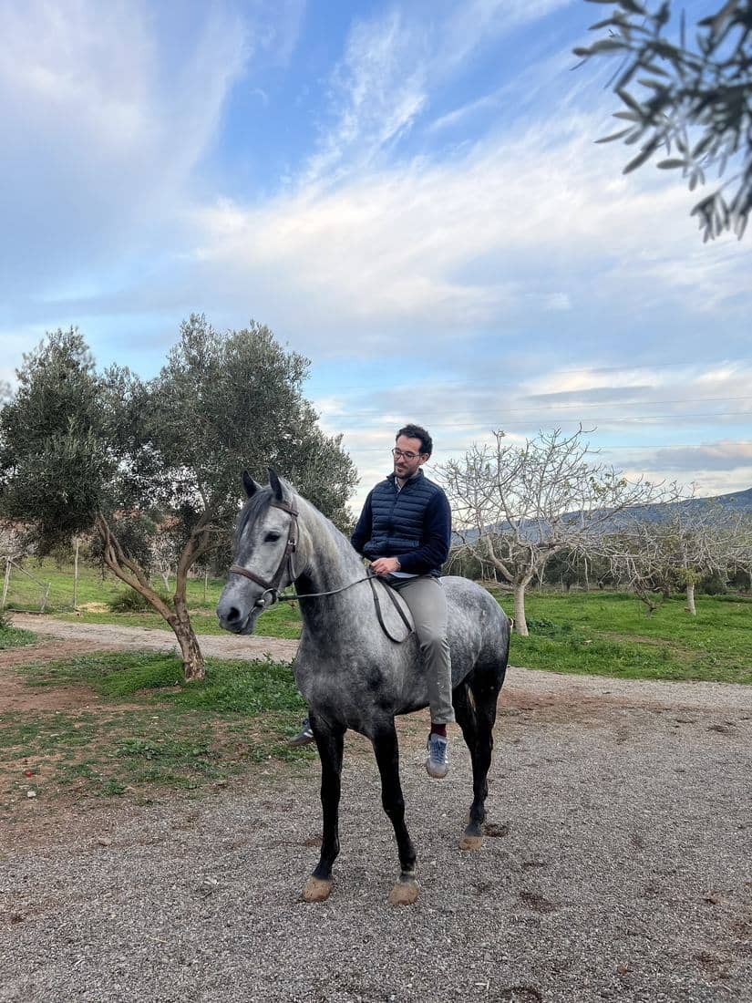 Chevaux et cavaliers dans les oliveraies et les vergers en fleur