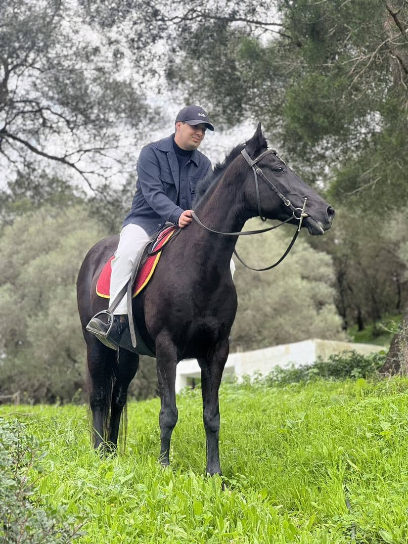 Chevaux et cavaliers dans les oliveraies et les vergers en fleur