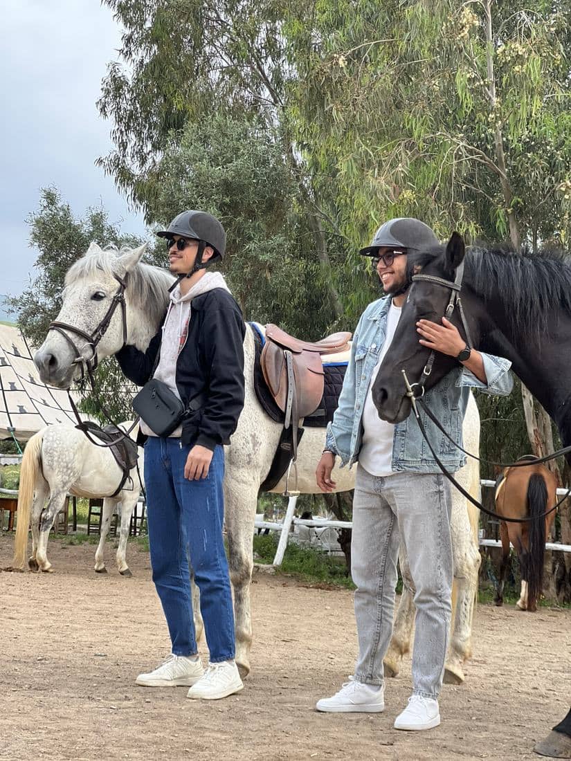 Chevaux et cavaliers dans les oliveraies et les vergers en fleur
