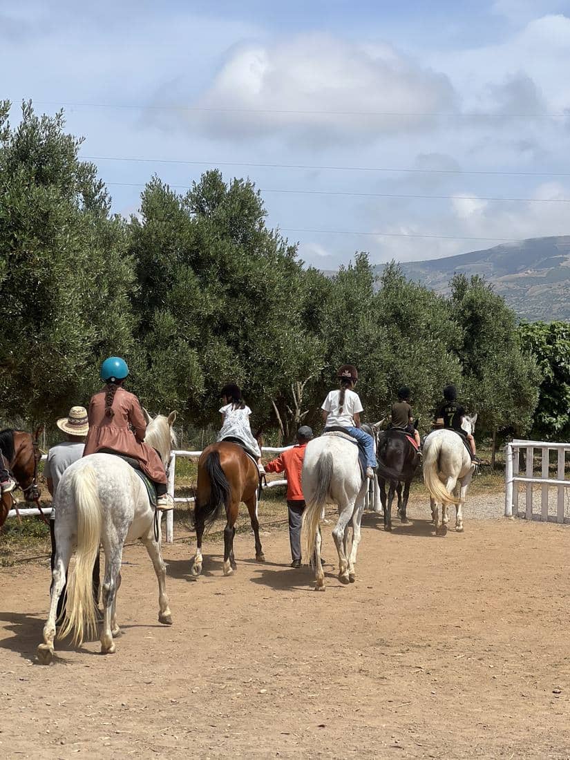Chevaux et cavaliers dans les oliveraies et les vergers en fleur