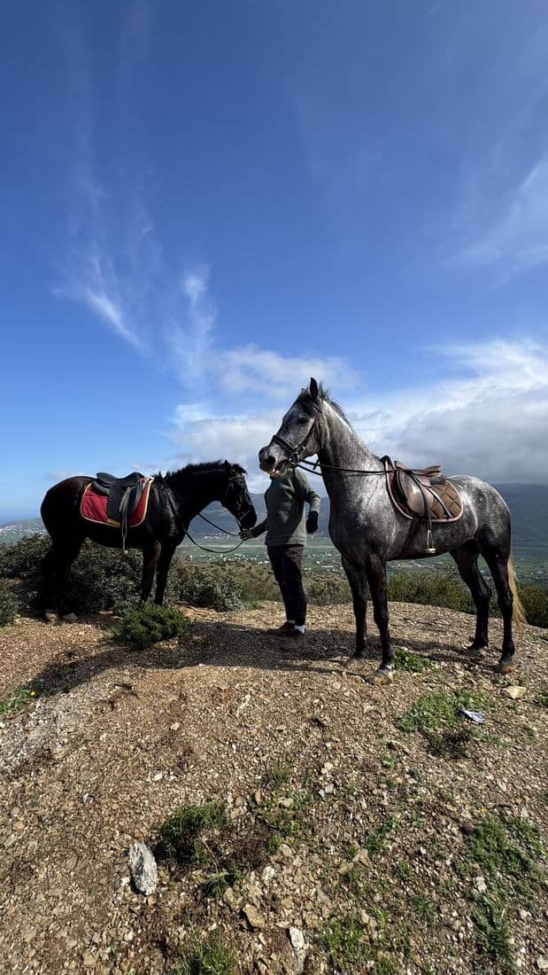 Cavaliers sur les hauteurs, la vallée et la mer en contrebas