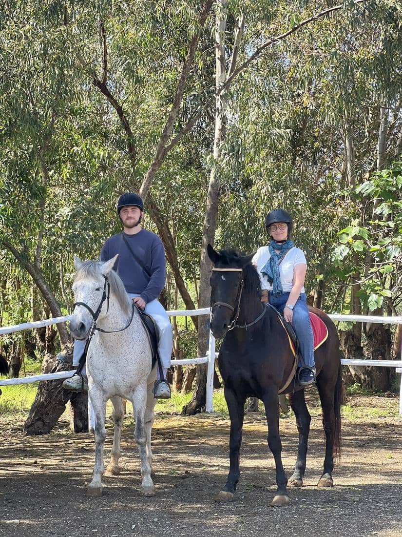 Les boxes, le paddock et les chevaux de l'écurie