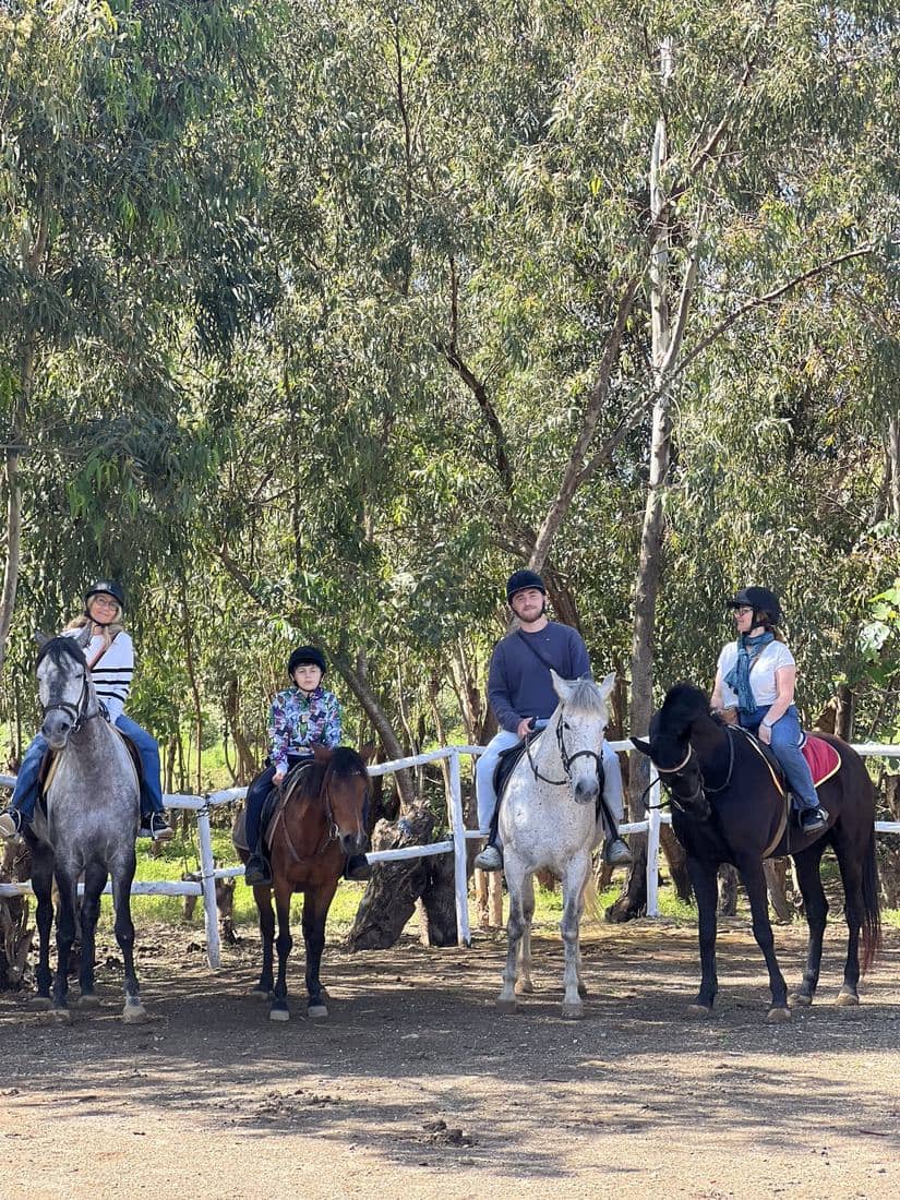 Les boxes, le paddock et les chevaux de l'écurie