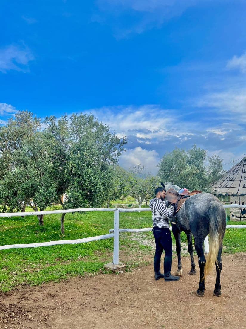 Les boxes, le paddock et les chevaux de l'écurie
