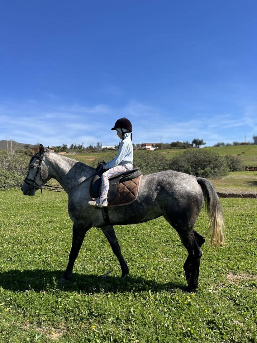 Enfants et familles à cheval, en tenue de cavalier