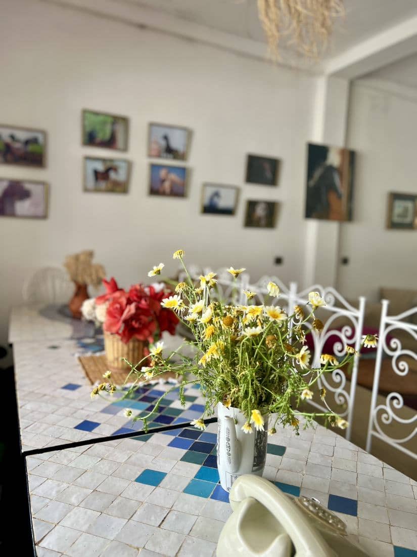 La terrasse et le salon du Parc Midayous, tables dressées et décor marocain