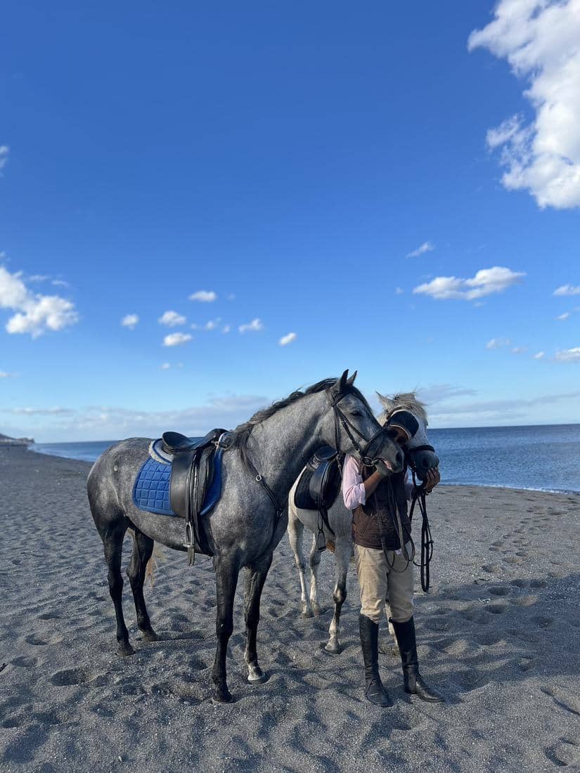 Chevaux et cavaliers sur le sable et dans l'eau de la Méditerranée