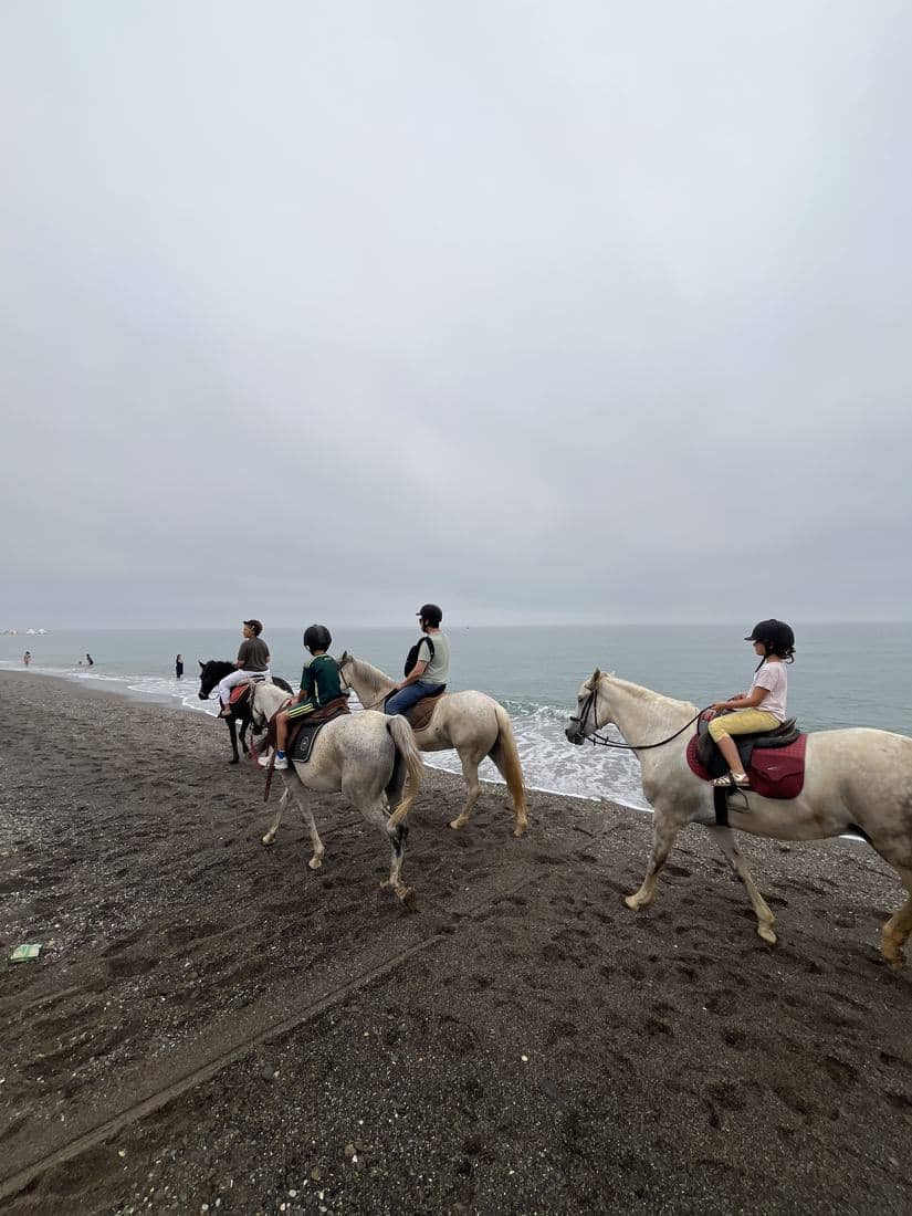 Chevaux et cavaliers sur le sable et dans l'eau de la Méditerranée