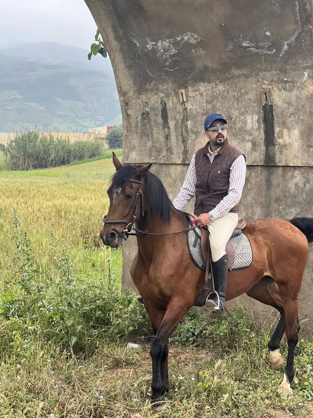 Un cavalier à l'ombre d'un arbre, dans un champ de coquelicots