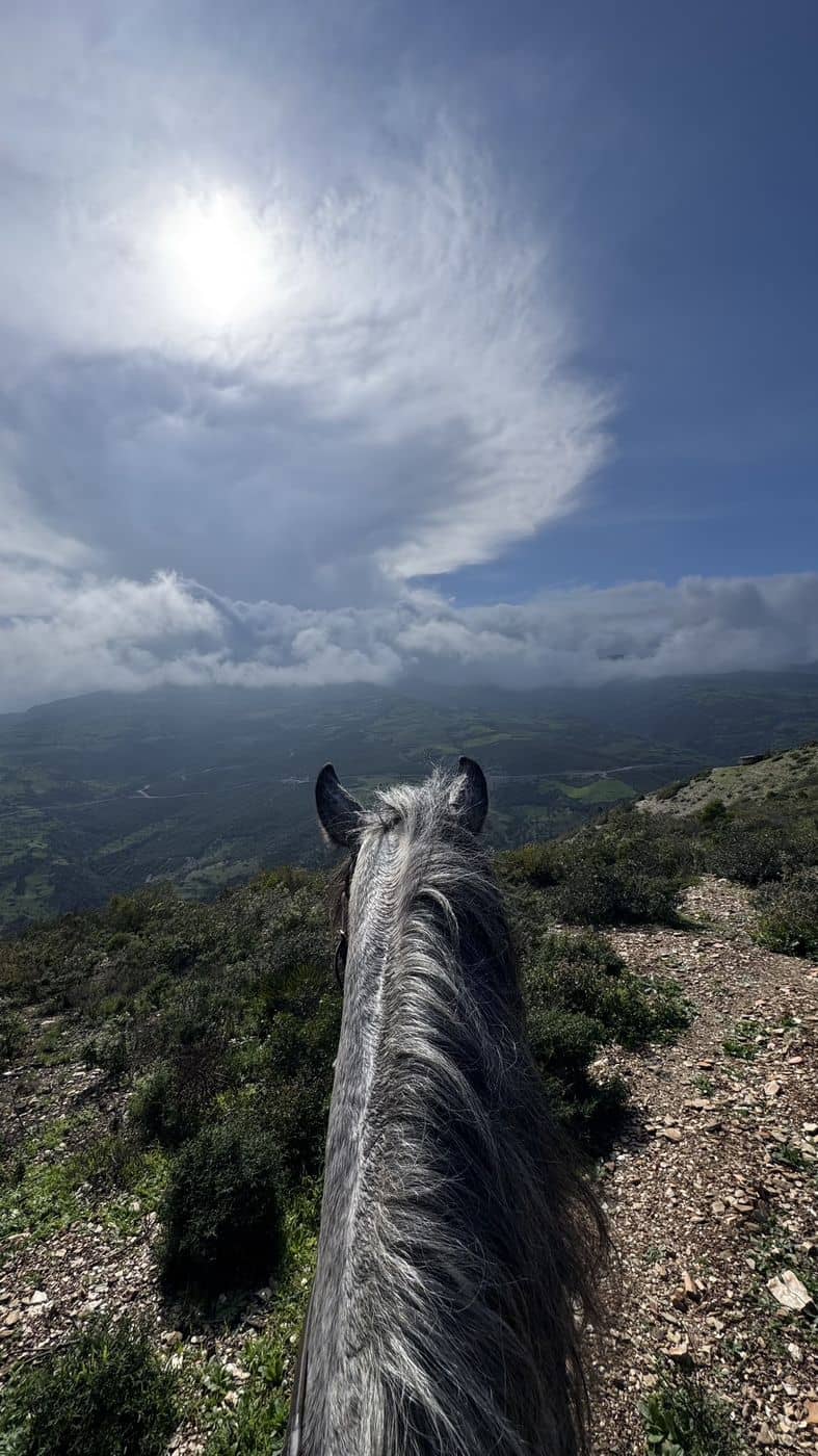 Vue depuis la selle : la crinière du cheval et la vallée en contrebas