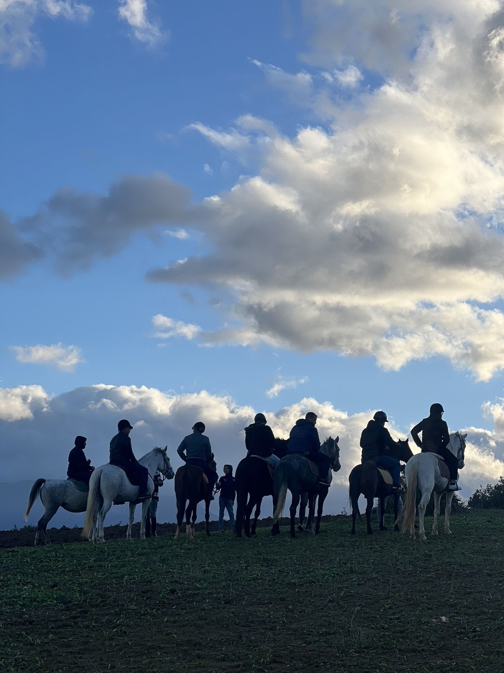 Une file de cavaliers en silhouette sur la crête, au crépuscule