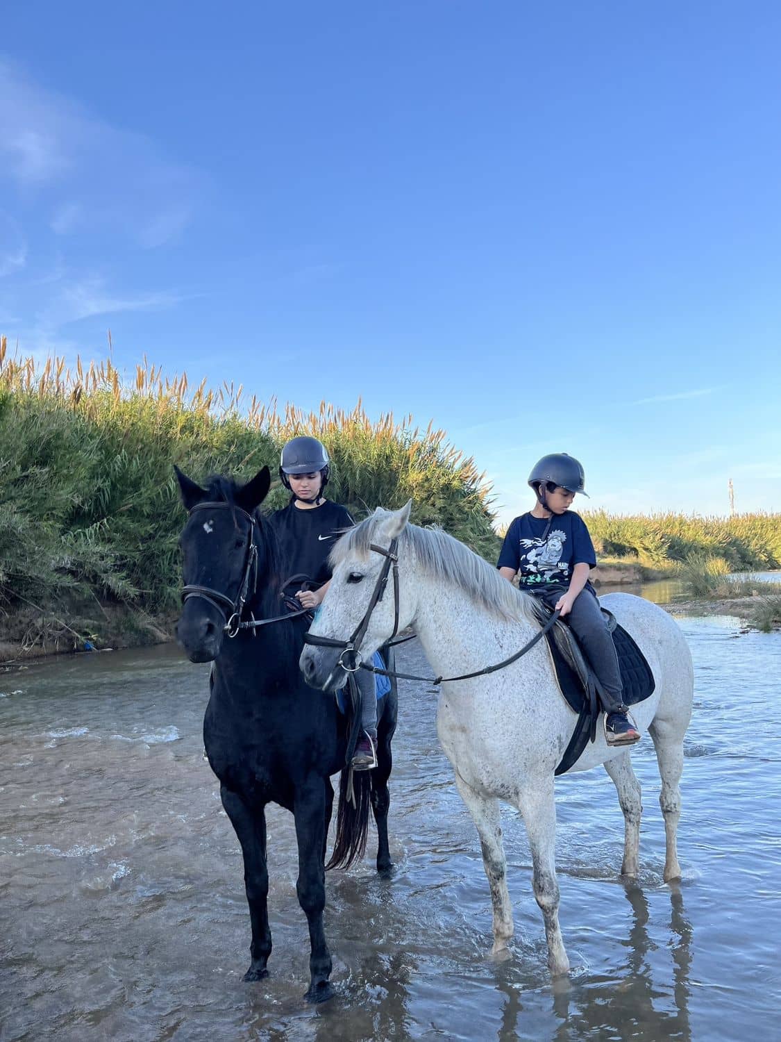Deux cavaliers à l'arrêt dans l'eau de l'oued